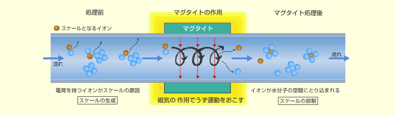 �X�P�[���E�ԎK���t���Ȃ����J�j�Y��